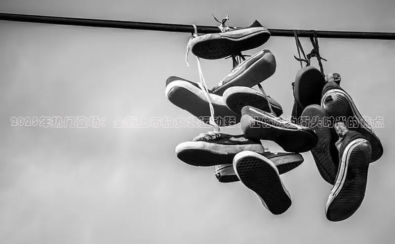 龙八头号玩家账号